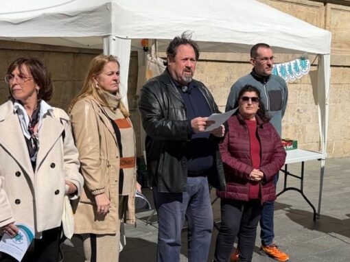 Acte dia mundial de la covid persistent 2026